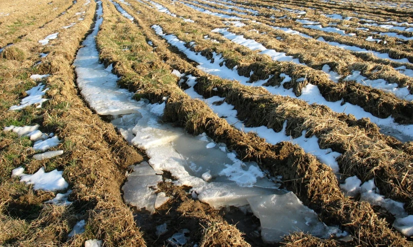 a plowed field with a number of rows on it