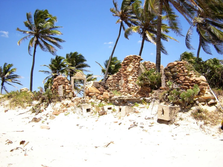 a couple of palm trees on top of a sandy beach