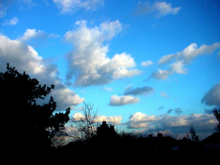 a lone tree is silhouetted against the backdrop of a blue sky