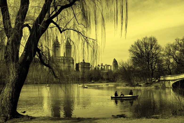 the image depicts two people in a row boat in the river