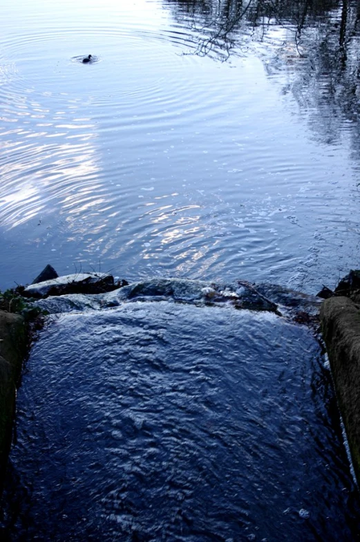 a stream with water flowing through the center