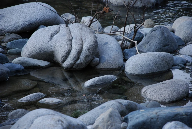 many rocks and one tree limb are on the water