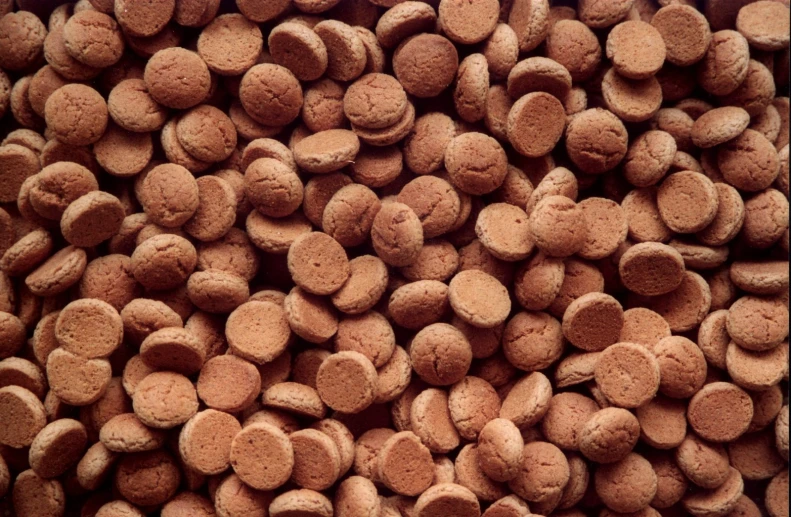 a large number of brown puppy food