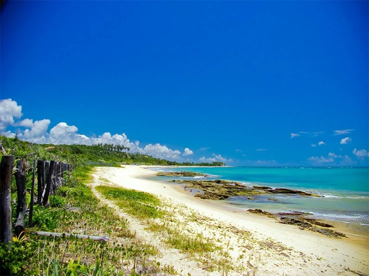 a sandy beach next to the water under a blue sky