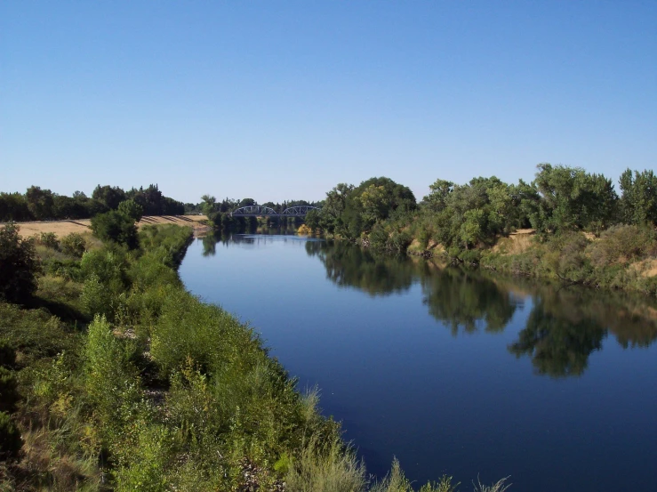 river with water surrounded by land with trees