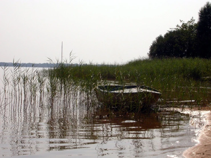 a broken boat is in the shallow water of a lake