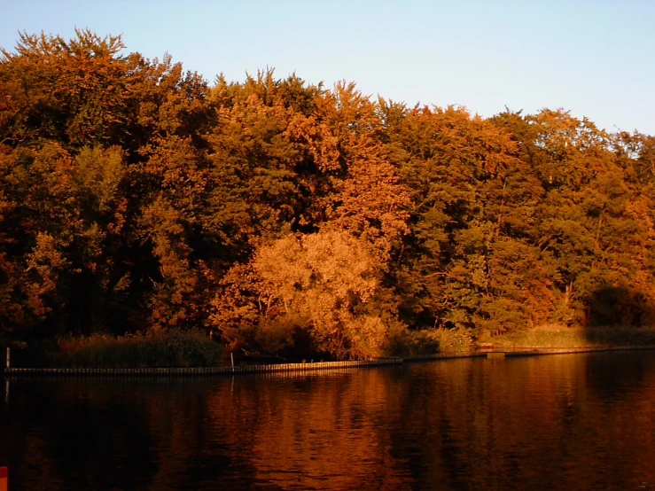 trees along side the water in a fall day