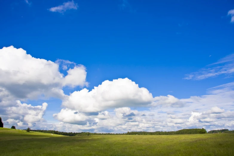 an empty field with a house in the distance