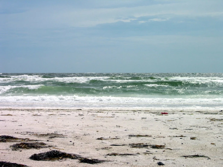 a person is standing on the beach with a surfboard