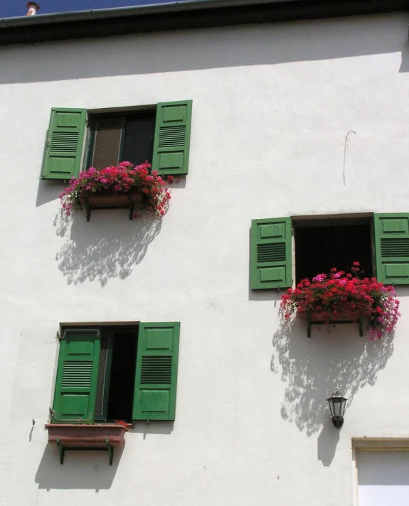 three green shutters and two windows have flower boxes on each window sill