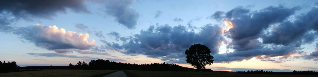 a field with a tree and a cloudy sky