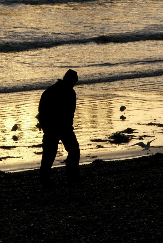 the person with a back pack is silhouetted on the sand next to water