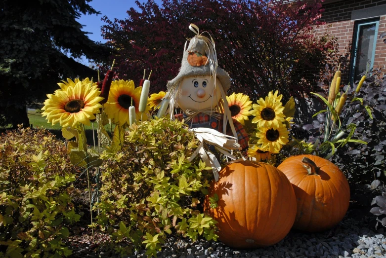 garden display with sunflowers and fake jack - o - lantern