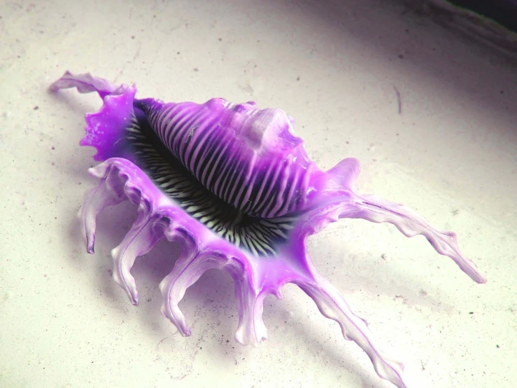 a purple creature with white legs and black eyes on its body