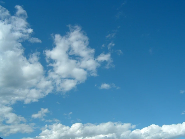 a lone bird is flying in the blue sky