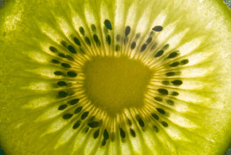 an image of sliced kiwi fruit with the kiwi green side