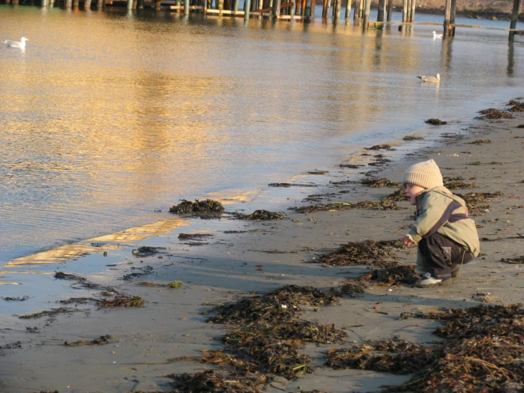 a boy on the beach looking for crabs