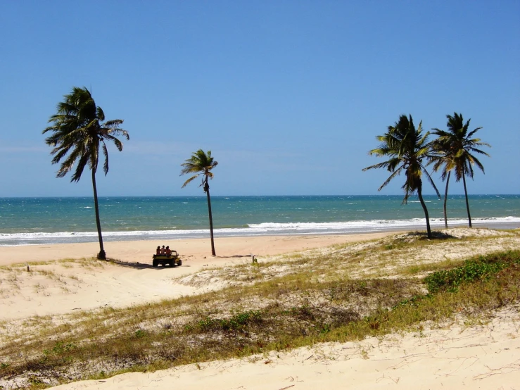 a sandy beach with some palm trees next to the ocean
