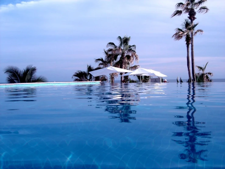 an empty pool surrounded by palm trees and a blue sky