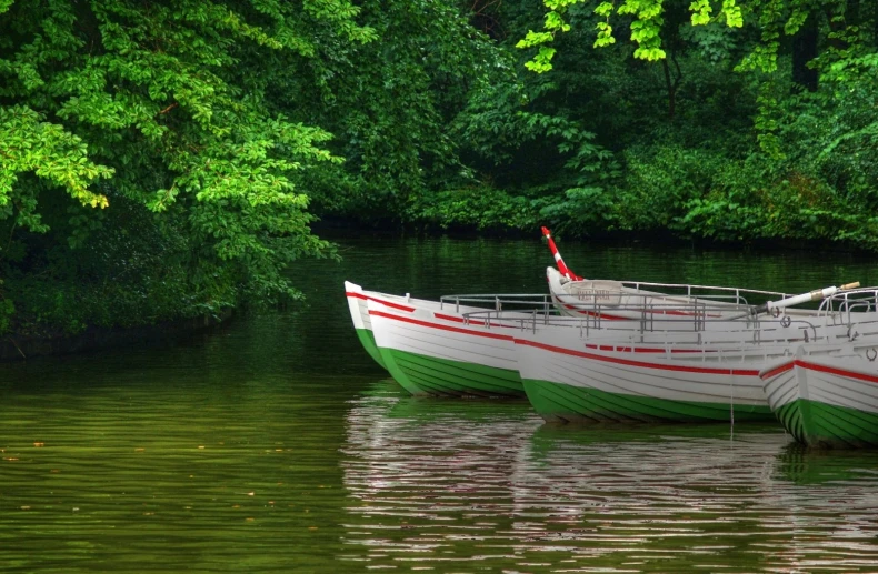 two boats parked in the water with trees around