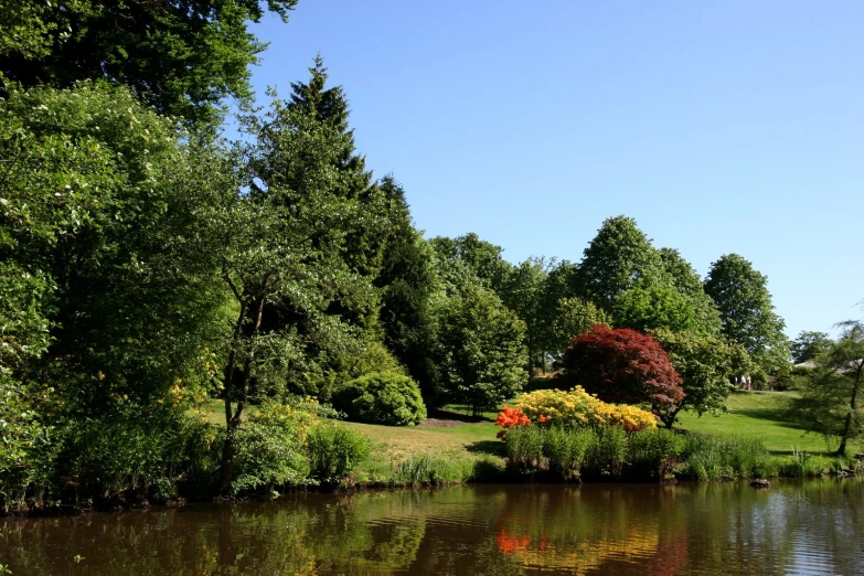 a view of a park across the river