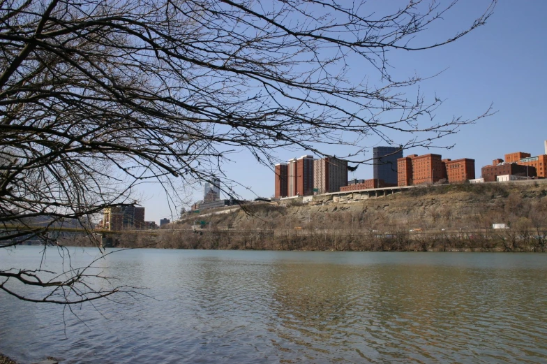 some trees in the distance on top of a hill near water and buildings