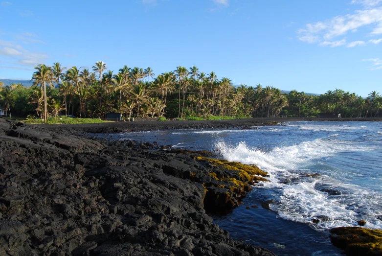 an island surrounded by palm trees and black sand