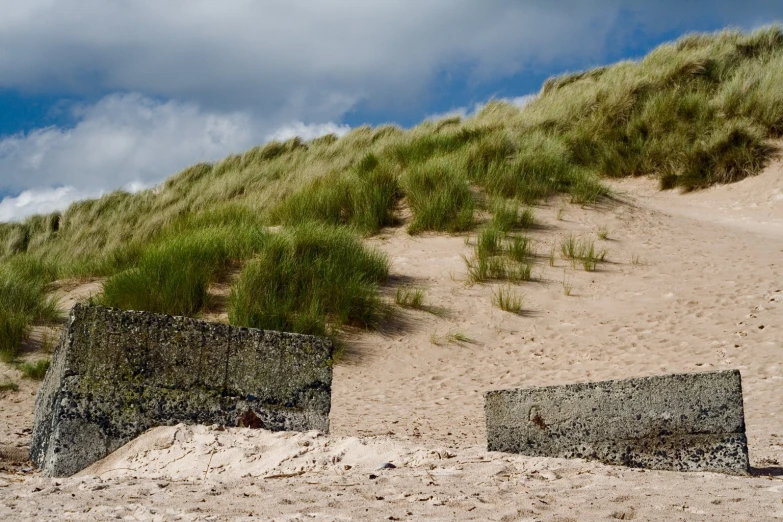 the grass on the sand has been bent