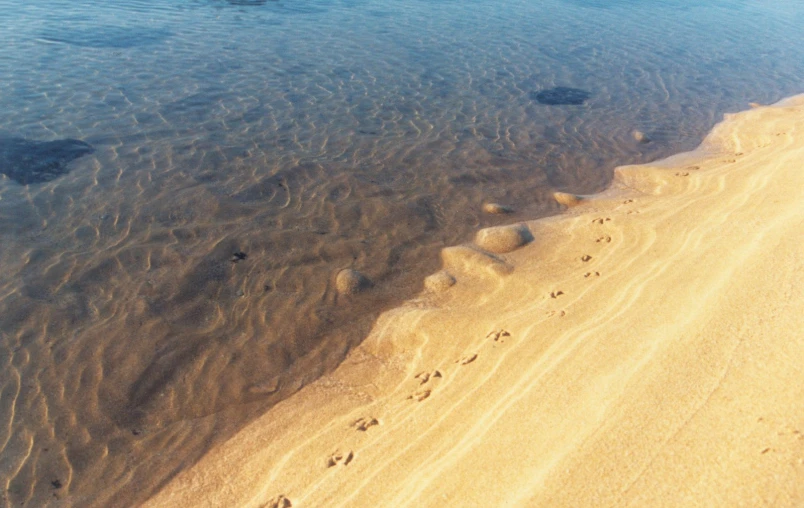 footprints left in the sand next to the water