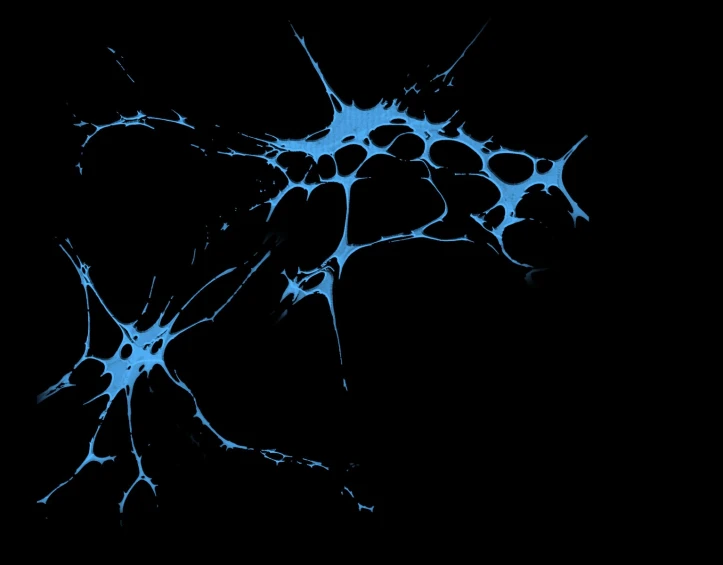 a cell is connected to a central point of the body