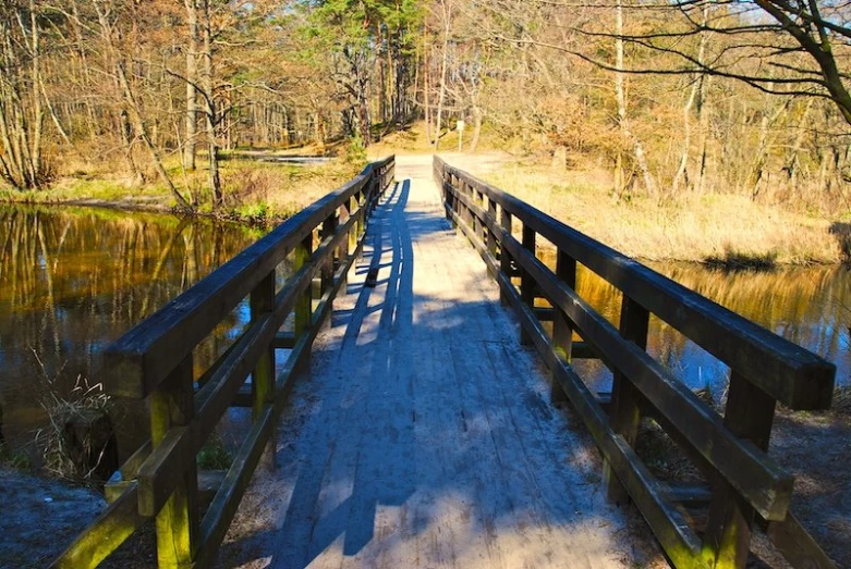 the wooden bridge is spanning across the shallow water