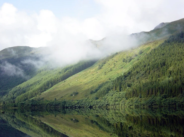 a mountain river surrounded by green vegetation and fog