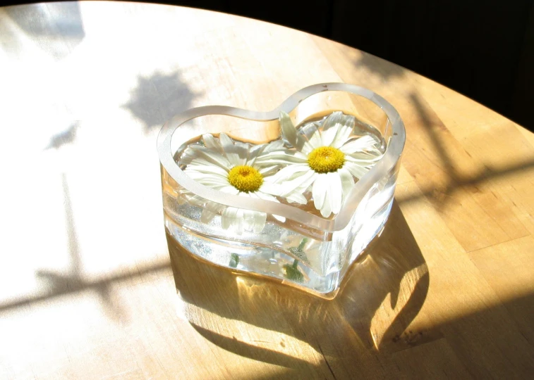 white daisies in a small heart shaped box on top of a wooden table
