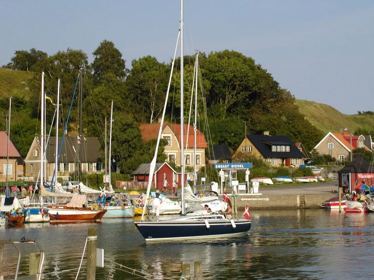 some boats in a harbor next to a hillside