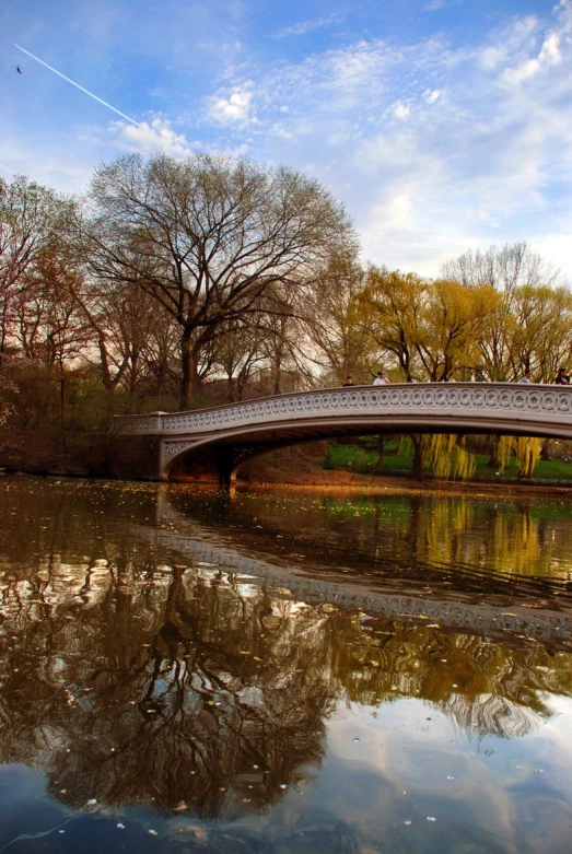 a bridge and water way next to trees