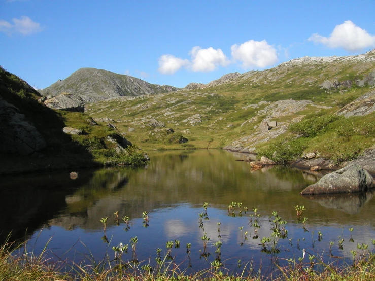 a large lake with a grassy hillside on the shore