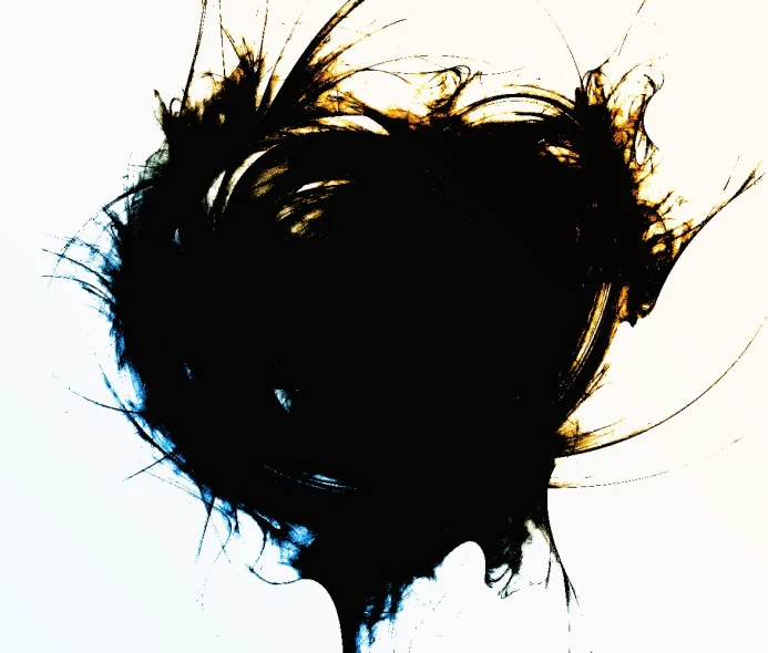the silhouette of a hair with it's top half turned