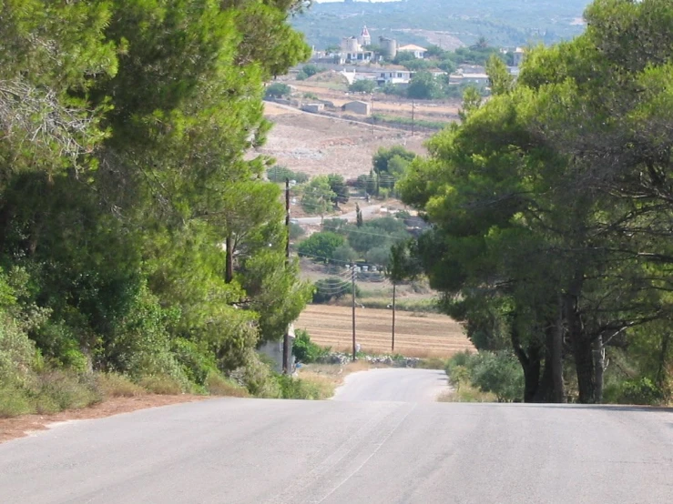 a road is shown that has lots of trees