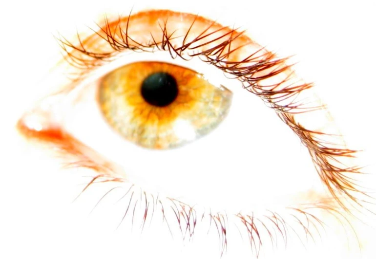 an eye with long lashes is shown with orange - colored eyes