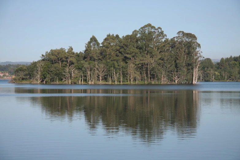 a large body of water surrounded by trees