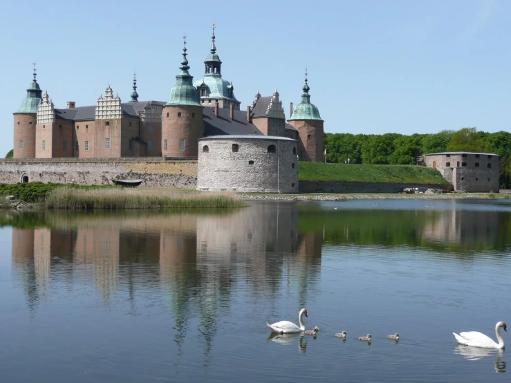 some birds are swimming in the water by an old castle