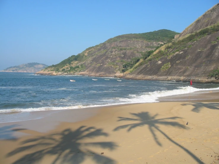 a palm tree casts a shadow on the sand