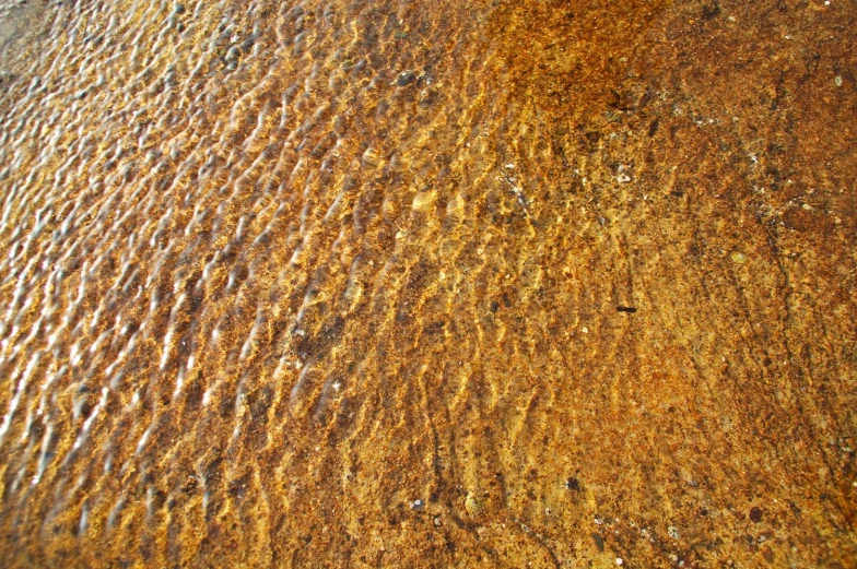 an extreme closeup of the sand and water