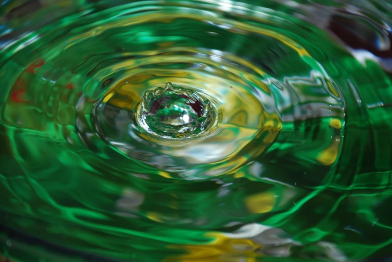 a circular green object in a shallow body of water