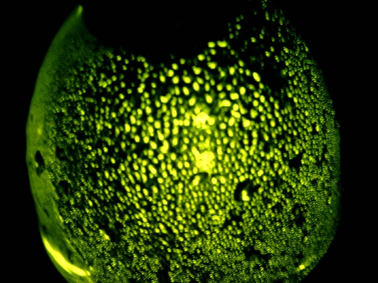 a lit up green and black object with drops