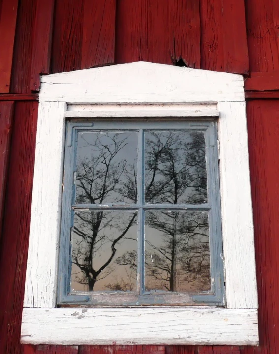 the tree reflected in the windows is out of focus