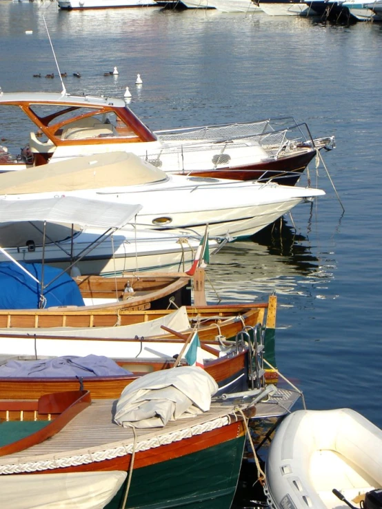 multiple boats moored in an inlet of water