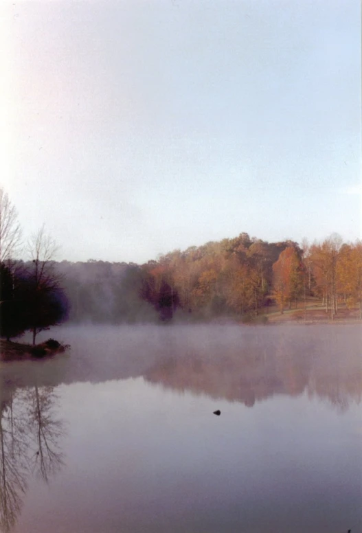 a lake with autumn foliage in the background