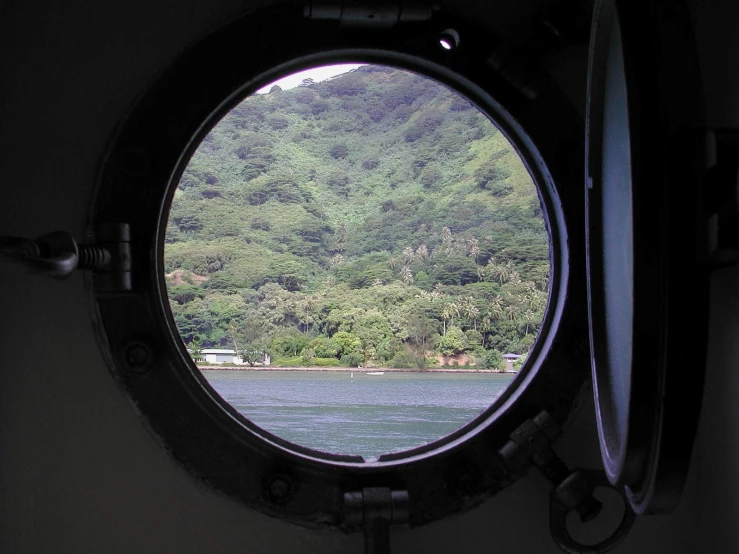 a window view of trees near the ocean