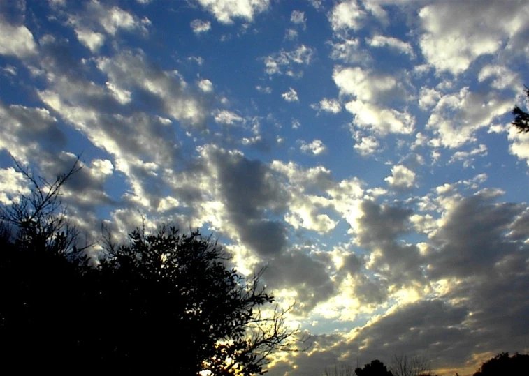 clouds in the distance with trees in the foreground